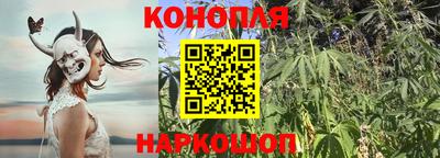 PSILOCYBIN Гагарин