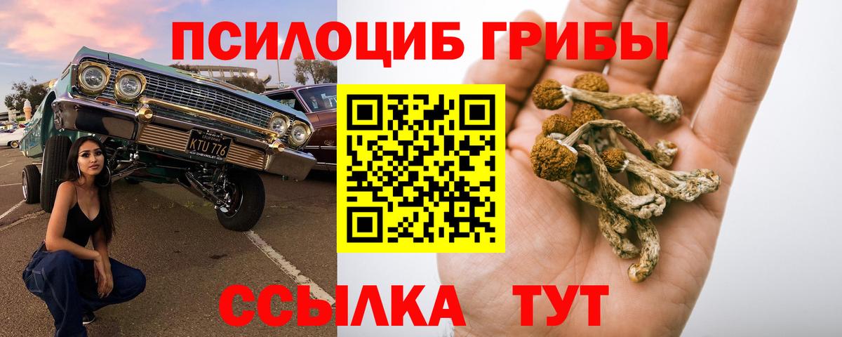 Скопин  Псилоцибиновые грибы MAGIC MUSHROOMS  Вход с VPN 
