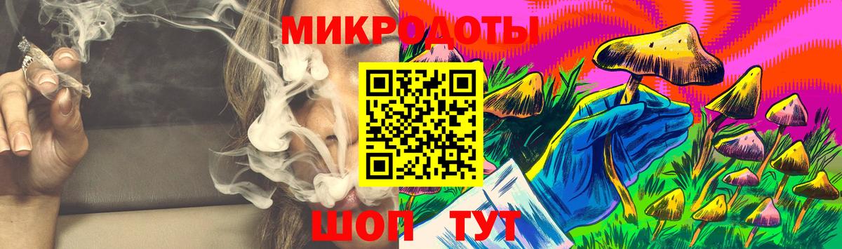 Псилоцибиновые грибы Cubensis Скопин
